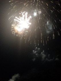 Captured by me on July 4, 2014